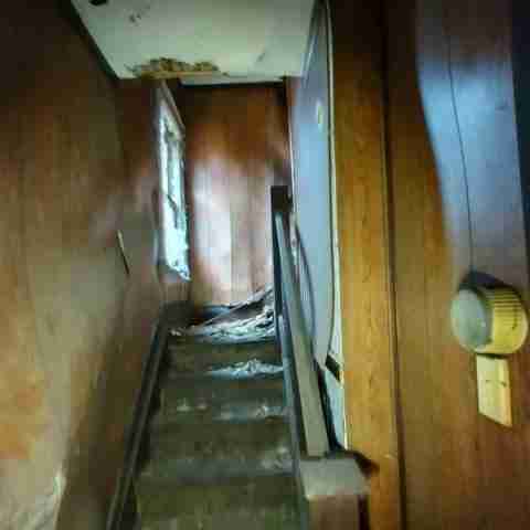 8031 conger (26).jpg